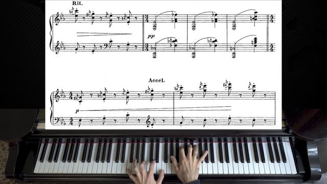 Saint-Saëns - Kangourous (Kangaroos) | The Carnival of the Animals смотреть онлайн