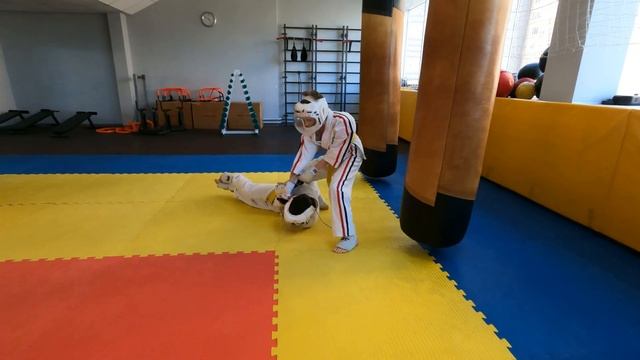 Тренировка по карате Видео смотреть онлайн