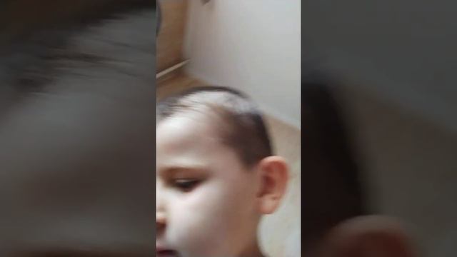 жаба плавает напишите в комментариях как её будет звать смотреть онлайн