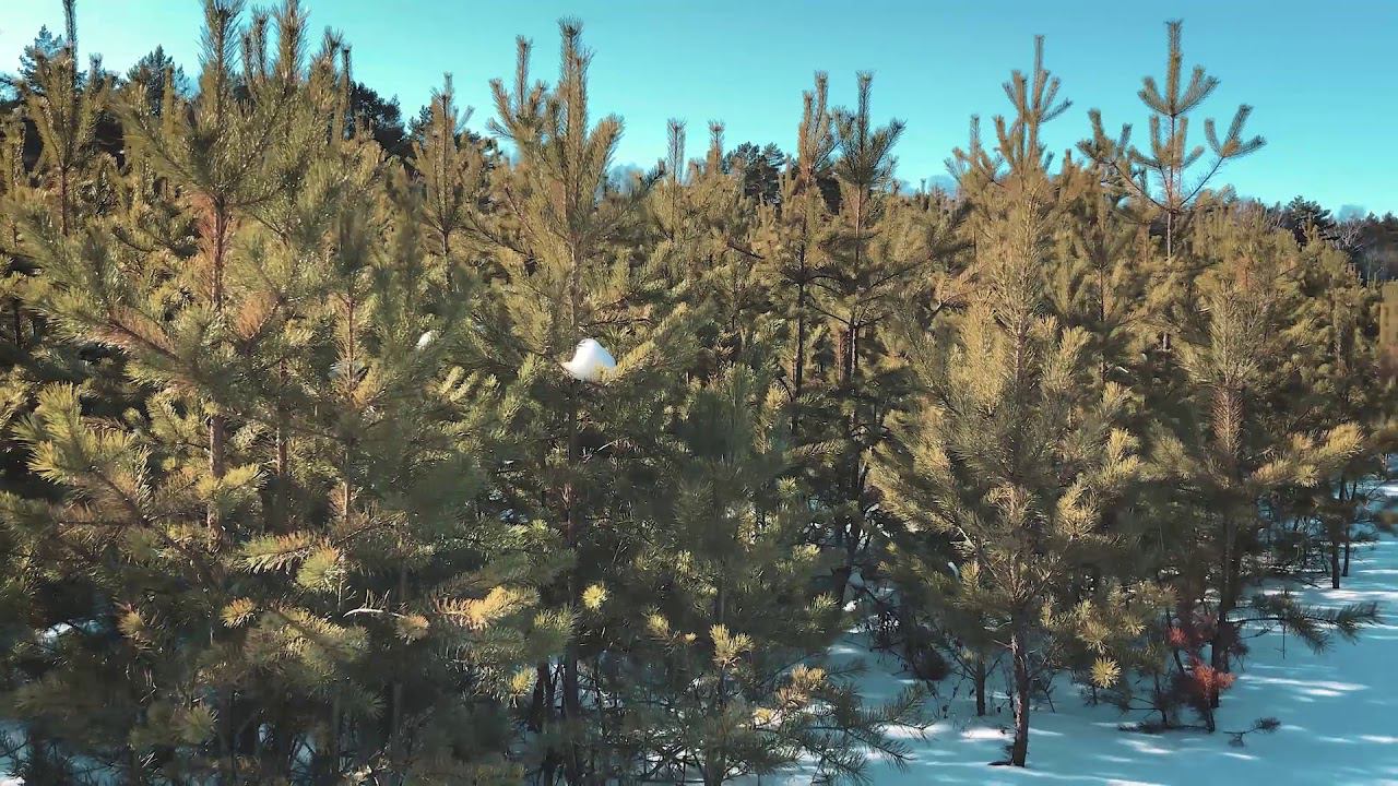 Берегите природу смотреть онлайн