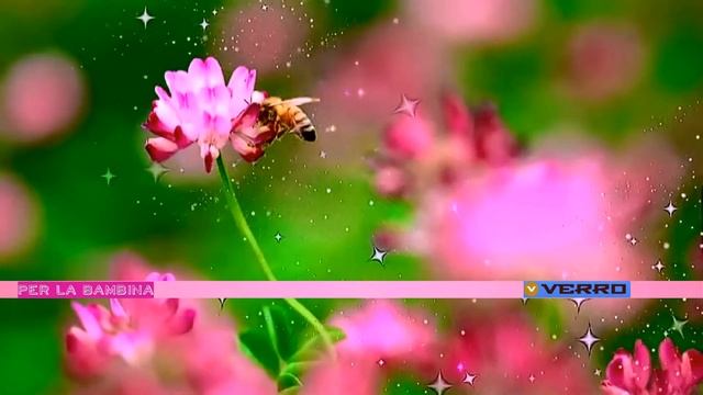 Моцарт - Симфония N 6 (фрагмент) смотреть онлайн