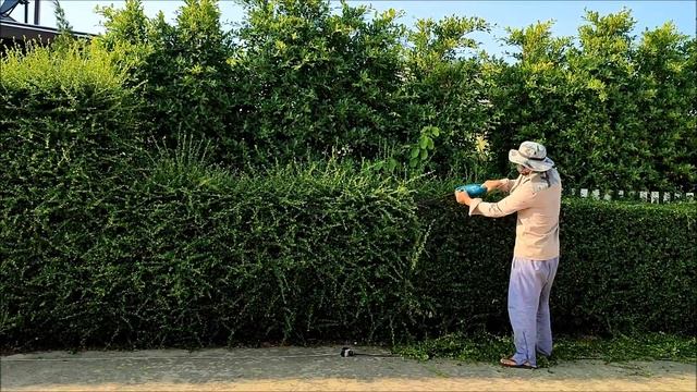รีวิวเครื่องตัดแต่งกิ่งไม้ พุ่มไม้ จาก Shopee ใช้ดีบอกต่อ смотреть онлайн