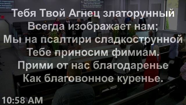 WSBC Morning Service 11/26/23 Утреннее Служение смотреть онлайн