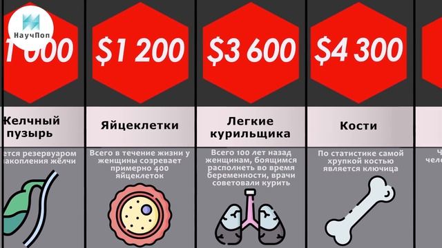 Сравнение цен: Человеческие органы смотреть онлайн