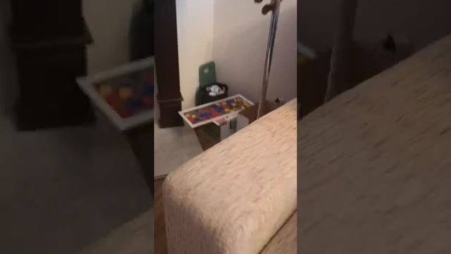 Как строить халабуду в домашних условиях. Руководство по строительству. смотреть онлайн