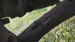 Замена шаровой опоры на Ford Focus 1. Шарнир сильно изношен