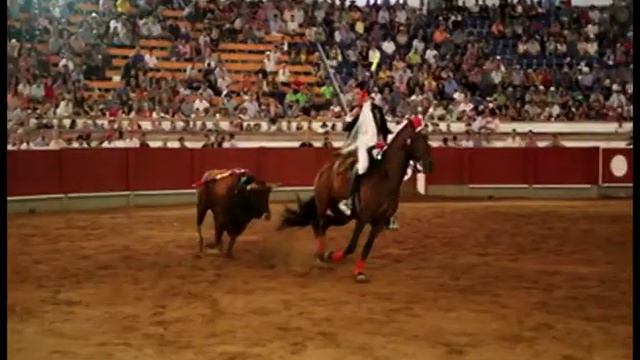 Entrevista para DeportesGV con el rejoneador José Luis Rodríguez Agostini por Gabriela C смотреть онлайн