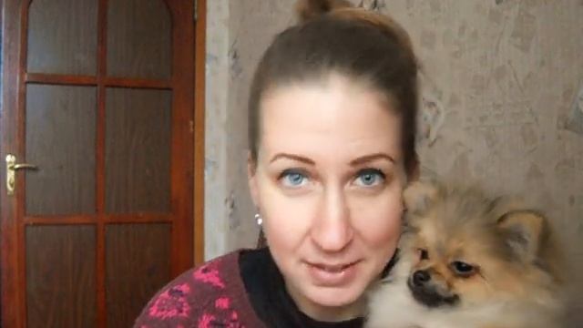 Как отучить щенка все грызть ? смотреть онлайн