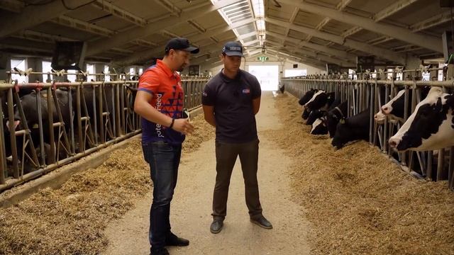 Учхоз Краснодарское | Как всё устроено? смотреть онлайн