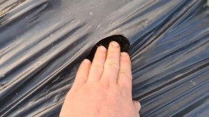 Тотальная гербицидная обработка КЛУБНИКИ