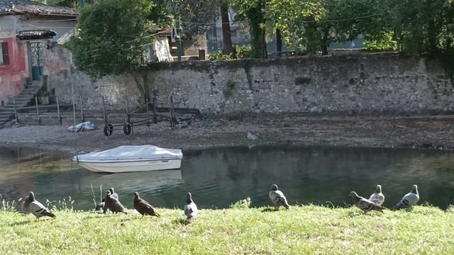 Воздержание 100 Дней. День 1. Хочется, но воздержусь. смотреть онлайн