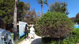 Турция 2021🇹🇷Аланья Конаклы Palmeras Beach Hotel 5. Обзор отеля: территория, пляж, номера.