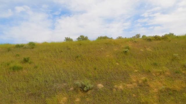 Exploring Columbia River Gorge & Palouse Area - 8K Scenic Drive (Right Side View in Slow Motion) смотреть онлайн
