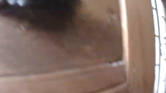 Pro optic Fish Eye Test смотреть онлайн