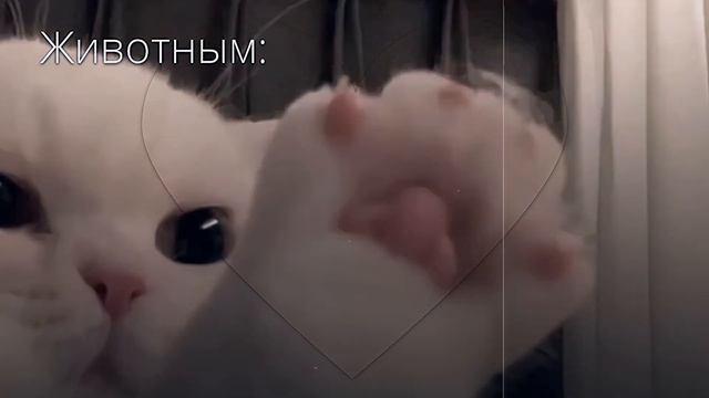 Не знаю что это, но мне нравится.^^💗 смотреть онлайн