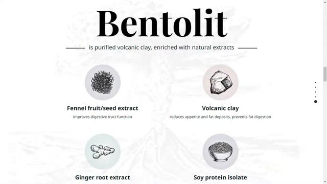 Bentolit - Bentolit Za Mrsavljenje Iskustva - Bentolit Price - Bentolit Gdje Kupiti смотреть онлайн