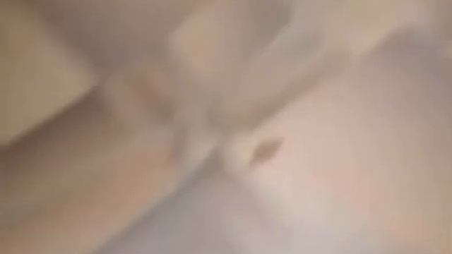 В Александровской больнице заметили скопление тараканов смотреть онлайн