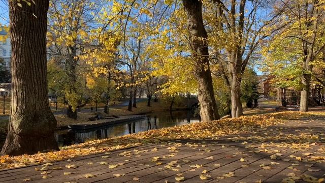 Нежная осень ??? смотреть онлайн