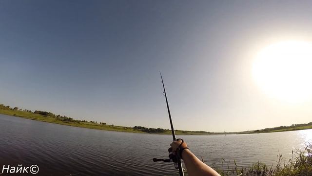 Ловля белого амура и карпа, Carpfishing