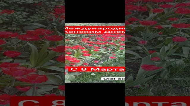 Поздравляю С Праздником! С Международным Женским Днём! С 8 Марта! смотреть онлайн
