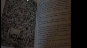 Астрид Линдгрен. Рони, дочь разбойника.  Продолжение 4.  10+