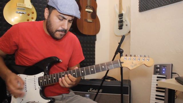 Fender Stratocaster Standard Mexico 2007 смотреть онлайн