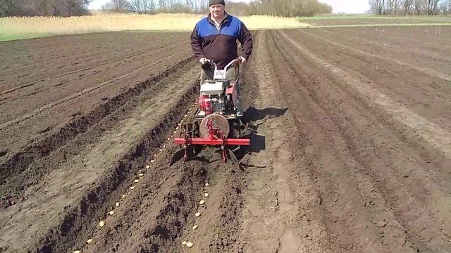Посадка картофеля мотоблоком ОКА смотреть онлайн