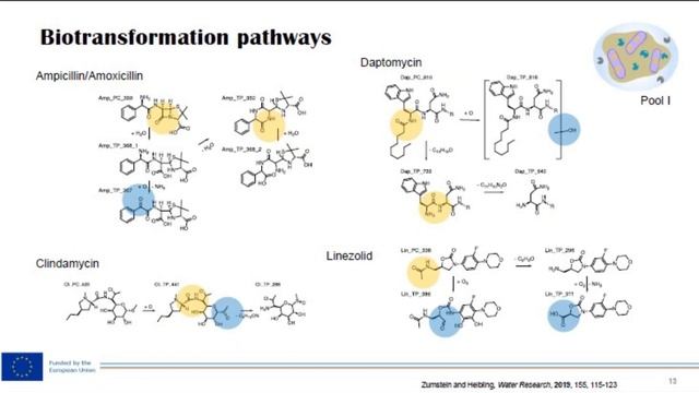 230404 TSD MZ Biotransformation LCMS смотреть онлайн