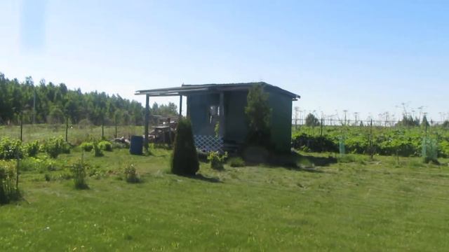 Шикарный дом с видом на Плещеево озеро! смотреть онлайн