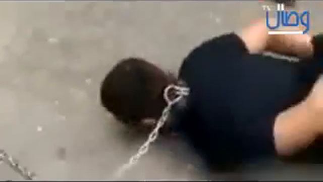 рафидит змей смотреть онлайн