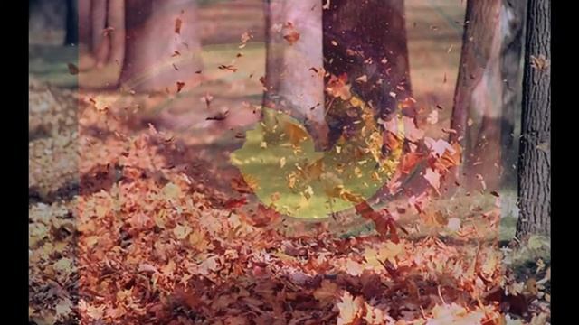 Autumn Leaves Английские стихи