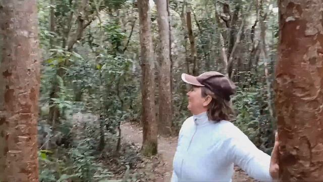 Флорида 05. Национальный парк Эверглейдс смотреть онлайн