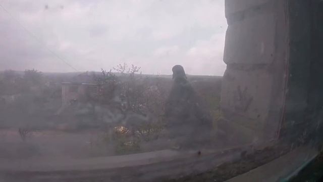 Линда лечение. Встреча с немцем доберманом дворнягой и котом. Голуб пришёл под мою дверь. смотреть онлайн