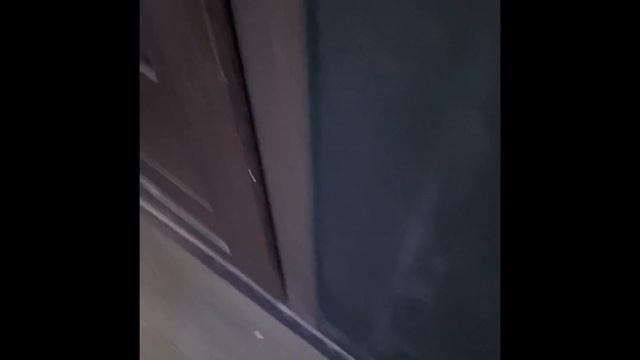 НАС ЗАТОПИЛИ СОСЕДИ // ПЕРВЫЙ ДЕНЬ КАРАНТИНА #RSwater смотреть онлайн