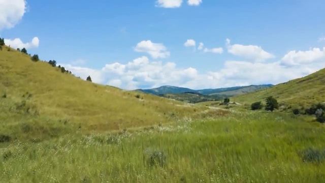 Какой же глупец. Потерял любимую, теперь кусает локти... Истории из жизни смотреть онлайн