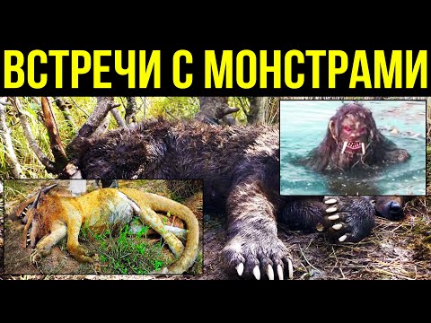 ✅ Рассказы очевидцев о снежном человеке- йети