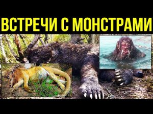 ✅ Рассказы очевидцев о снежном человеке- йети