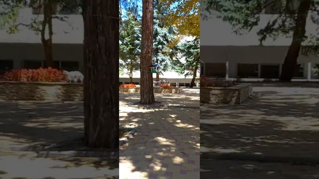 Летний отдых. Пансионат,,Приморский" Дивноморское. смотреть онлайн