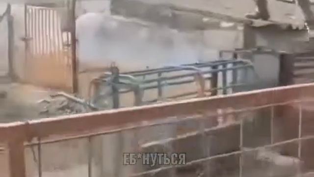 Сторожевой дикий кабан😂😂😂 смотреть онлайн