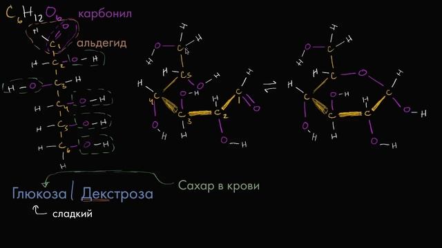 Молекулярная структура глюкозы (видео 1) | Макромолекулы | Биология смотреть онлайн