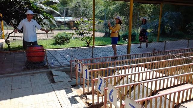 Парк Янгбей - Экскурсии в Нячанге. Yangbay Nhatrang 2017 смотреть онлайн