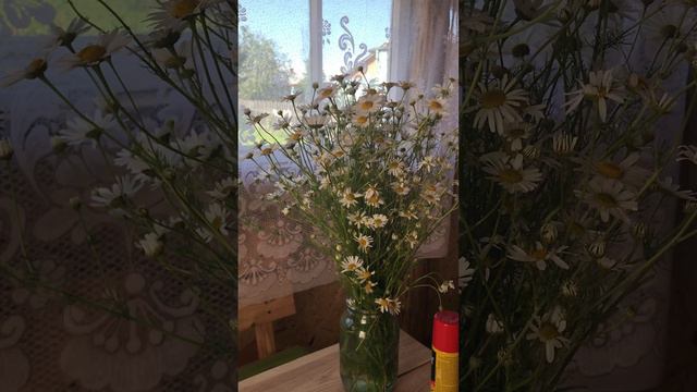 День рыбака