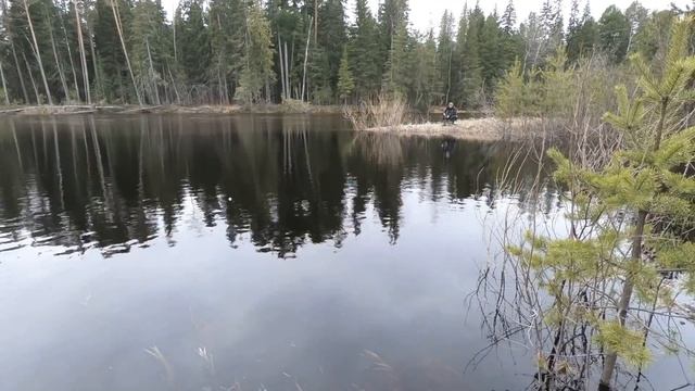 ВЕСЕННИЕ ОКУНИ ПОШЛИ НА ПОПЛАВОК! ЛЕТНЯЯ РЫБАЛКА 2021 НАЧАЛАСЬ УДАЧНО! МОРМЫШКА РУЛИТ ПО ХИЩНИКУ! смотреть онлайн