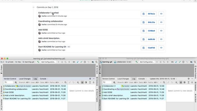 Mini-Video-Course on Git · Part 7 · Coordinating Collaboration · Johns Hopkins University · 2018 смотреть онлайн
