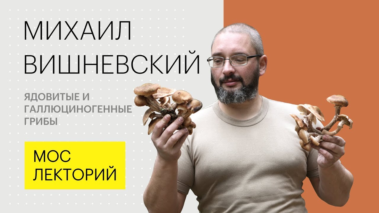 Ядовитые и галлюциногенные грибы // Михаил Вишневский Лекция 2018