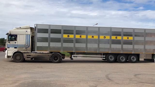 BERDEX EcoLine 3 G полуприцеп скотовоз смотреть онлайн