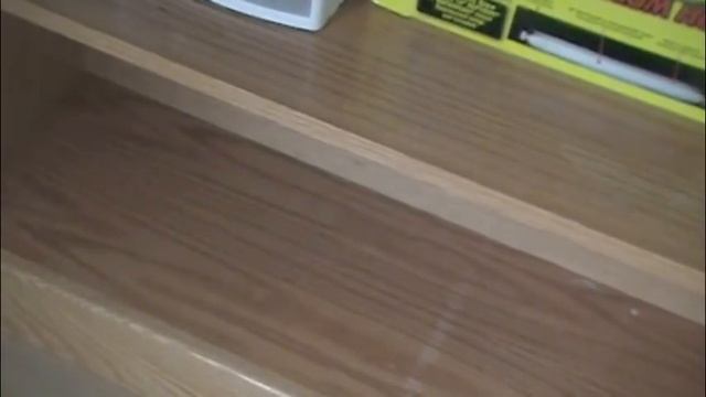 Animal Shelf Tour !! смотреть онлайн