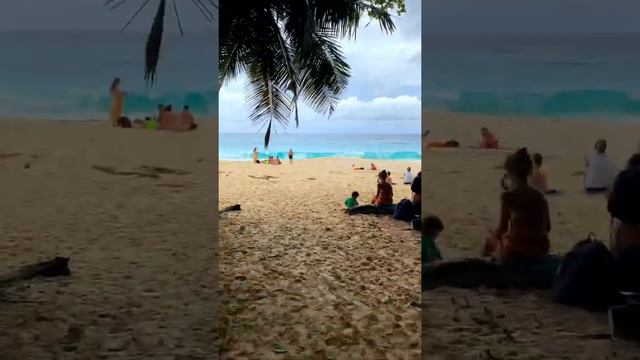 Следуй за мной, Сейшельские острова смотреть онлайн