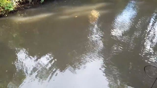 Magnet fishing (We found a Gucci watch) смотреть онлайн