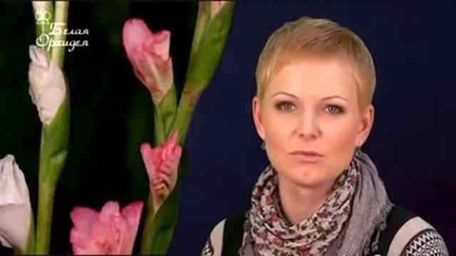 Орхидея смотреть онлайн